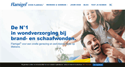 Desktop Screenshot of flamigel.be