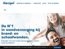 Tablet Screenshot of flamigel.be